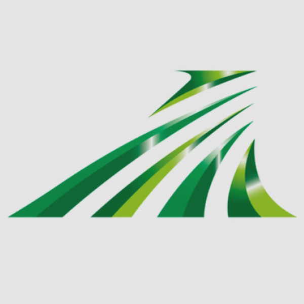 Rapidus - Grant cover