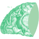 Anterior - Venture Round cover