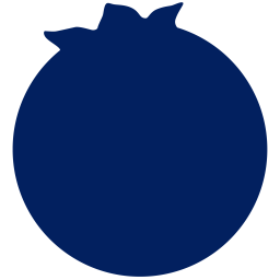 Blueberry Ventures logo