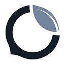 Chestnut Carbon - Series B cover