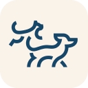 Gallant - Series B cover