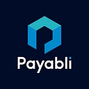 Payabli - Series B cover