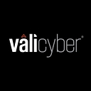 Vali Cyber - Venture Round cover