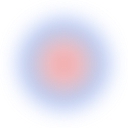 Wonderful - Seed cover