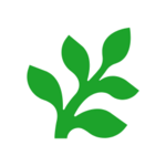 Fern - Series A cover