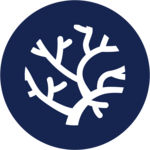 Kalinda - Seed cover