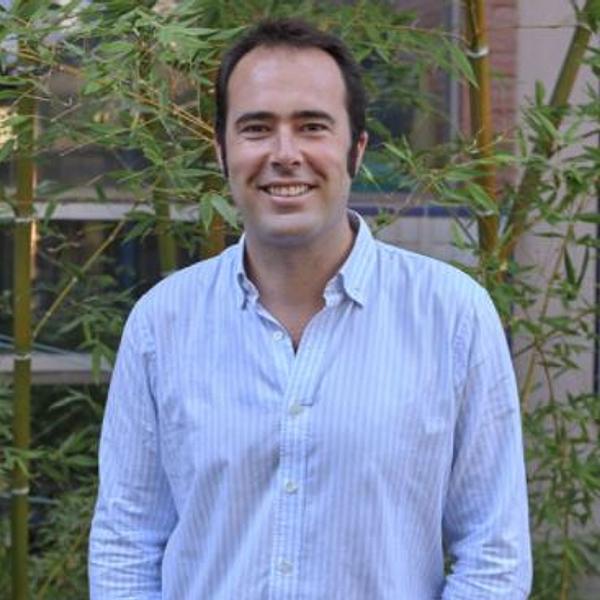 Ignacio Puig Masllorens